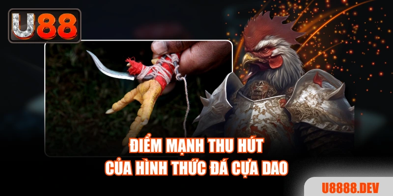 Điểm mạnh thu hút của hình thức đá cựa dao